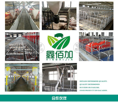 鑫佰加畜牧設(shè)備 專業(yè)打造犢牛用奶壺，助力高效養(yǎng)殖